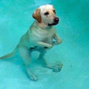 Meet your Posher, Kody